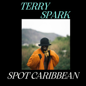 Fyah Inna Di Town by Terry spark