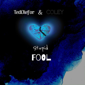 Stupid Fool