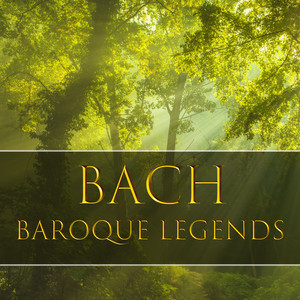 Violin Concerto No. 2 in E, BWV 1042: 3. Allegro assai