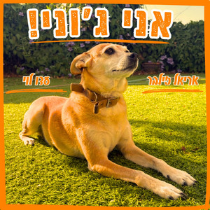 אני ג'וני! by Ariel Zilber, עדו לוי