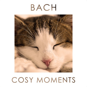Bach Cosy Moments album