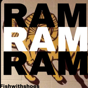 RAM