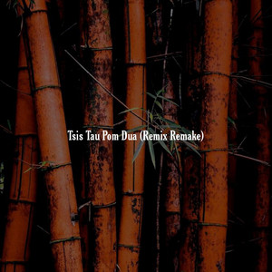 3Hmoob - Tsis Tau Pom Dua, (Remix Remake)