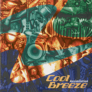 Acoustic Blues by Cool Breeze