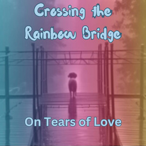 DigiDog_Beats - Crossing the Rainbow Bridge On Tears of Love