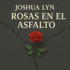 Rosas En El Asfalto by Joshua Lyn