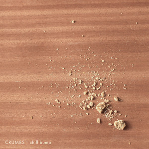 Crumbs cover