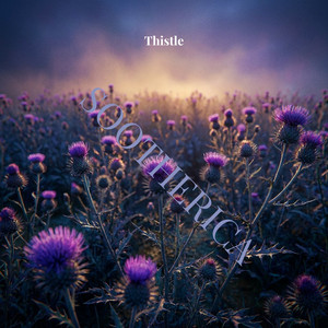 Thistle by Sootherica