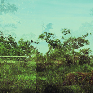 album cover: geographic beings, phosphorus mountains