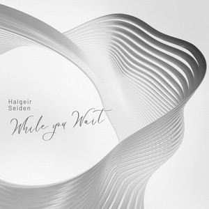 While You Wait by Halgeir Seiden