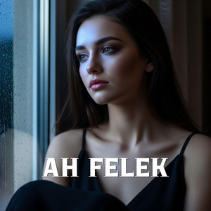 AH FELEK by Ters Mikrofon
