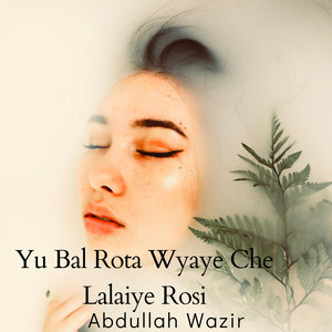 Abdullah Wazir - Yu Bal Rota Wyaye Che Lalaiye Rosi