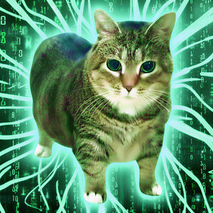 XertXetin - MEMORY REBOOT (OIIA OIIA Spinning CAT) [Sped Up]