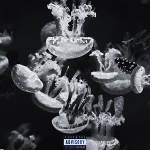 Jelly by Ayoe Relle, Marcus Sway