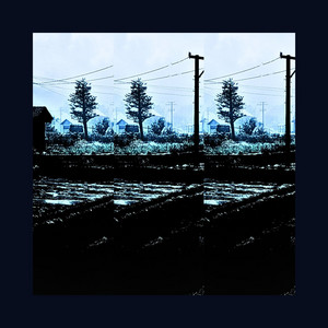 FOG by Poetics, SwizZz