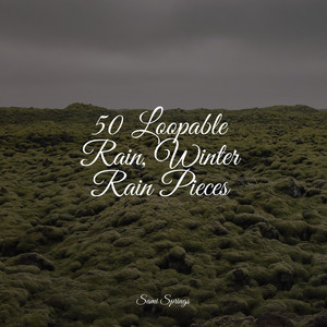 50 Loopable Rain, Winter Rain Pieces album