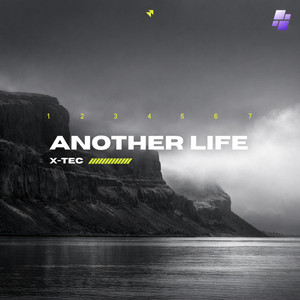 Another Life