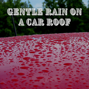Gentle Rain on a Car Roof album