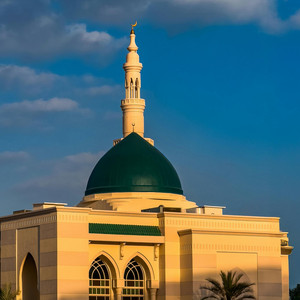 فاطمة بنت قيس - الحمد لله بلا سبب