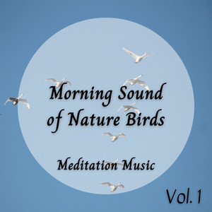 Meditation Music: Morning Sound of Nature Birds Vol. 1 album