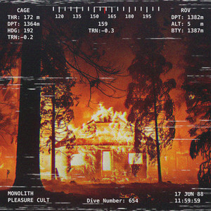 We're Not Getting Out Of This Alive by Monolith Pleasure Cult