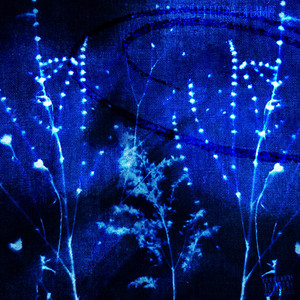 Si j'éteins la lampe by Shadowboy