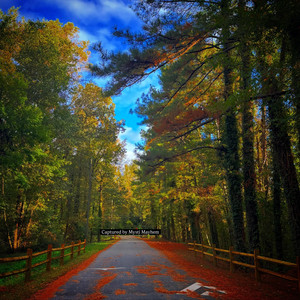 Walk Each Other Home by Mysti Mayhem