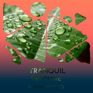 zZz Tranquil Meditative Rain Harmonies zZz album