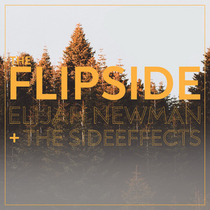 The Flipside