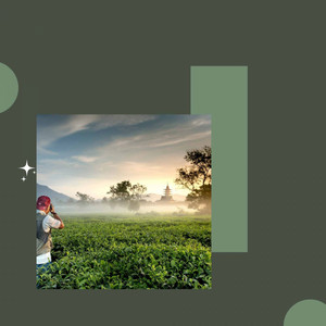 Music for Chill Afternoons - Trumpet and Alto Sax album