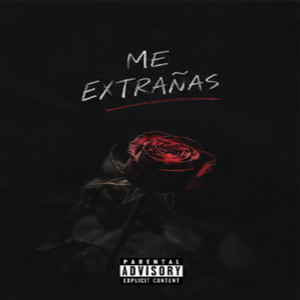 ME EXTRAÑAS by natha nc