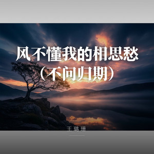 风不懂我的相思愁（不问归期） by 王璐珊