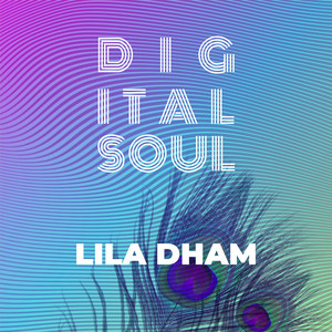 Нижний повадырь by Lila Dham, ВСИГМЕ