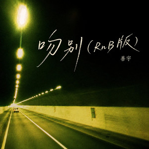吻别（RnB版） by 善宇