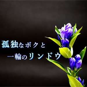 孤独なボクと一輪のリンドウ