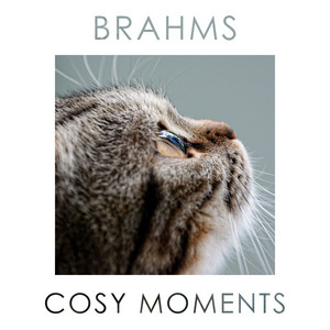 Brahms Cosy Moments album