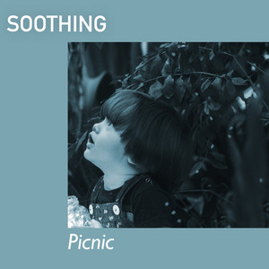 # 1 Album: Soothing Picnic album