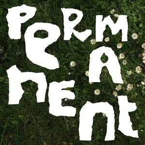 Permanent by Turmoil