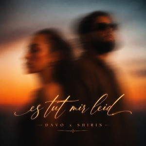 Es Tut Mir Leid by Davo, SHIRIN