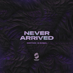 Never Arrived
