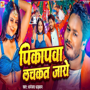 Pikapva Lachkat Jaye by Dhananjay Dhadkan