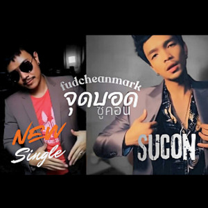 Sucon - จุดบอด