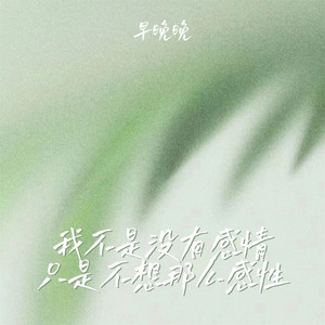 早晚晚 - 我不是没有感情 只是不想那么感性 (伴奏)