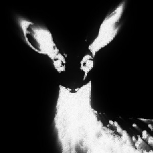hey deer, meet headlights! by abscond