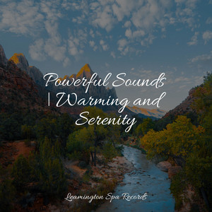 Powerful Sounds | Warming and Serenity album