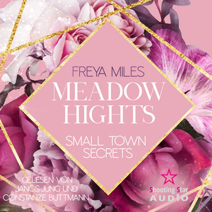 Meadow Hights: Small Town Secrets [New York Gentlemen, Band 5 (ungekürzt)] Audiobook