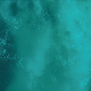 Serene Coral by Quiet Point