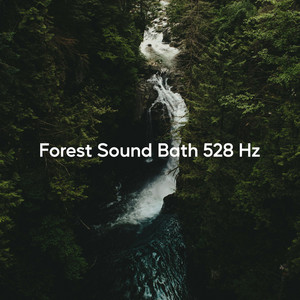 Forest Sound Bath 528 Hz - Loopable