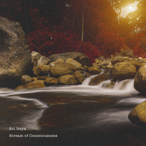 Stream of Consciousness by Sol Reya