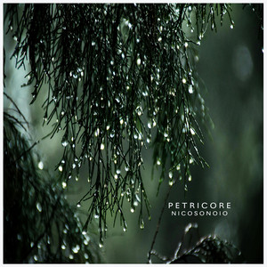 Petricore by Nicosonoio